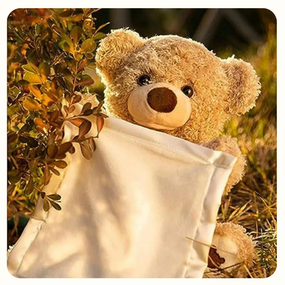 🧸Hide and Seek Talking Plush Bear